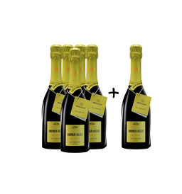 Prosecco Valdobbiadene DOCG "Desiderio Dry" 5 + 1