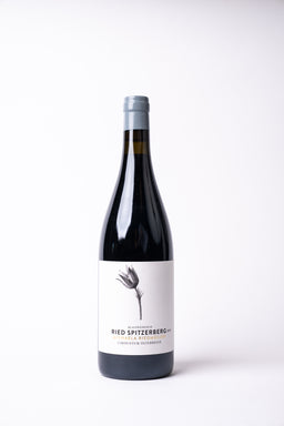 Ried Braunsberg Blaufränkisch Carnuntum DAC 2019