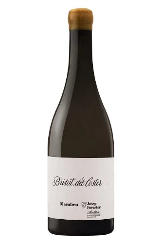 Brisat del Coster 2023 Orange