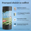 PRE-ORDER: The Great Wines of France - only in FRENCH !